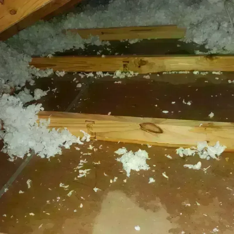 Attic Water Damage in Gosnell, AR